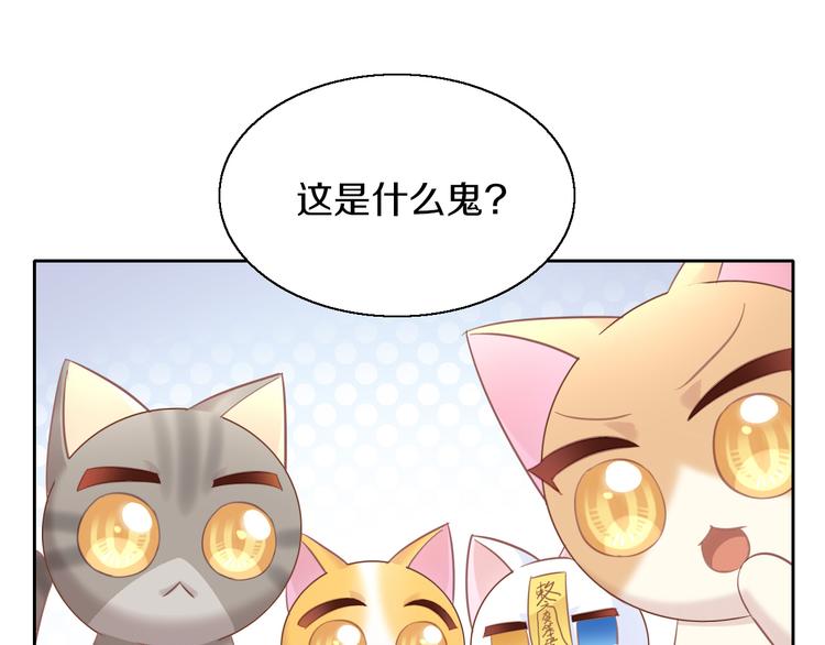 《猫爪之下》漫画最新章节第143话 腮红鹦鹉免费下拉式在线观看章节第【40】张图片