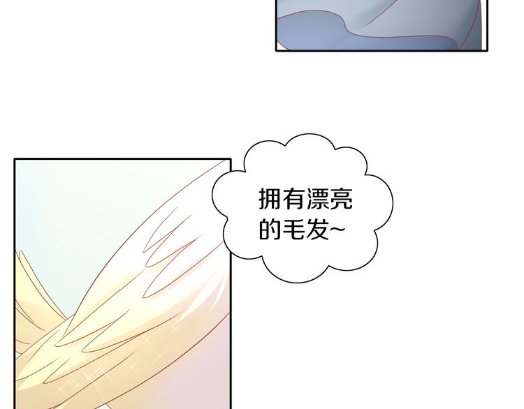 《猫爪之下》漫画最新章节第143话 腮红鹦鹉免费下拉式在线观看章节第【43】张图片