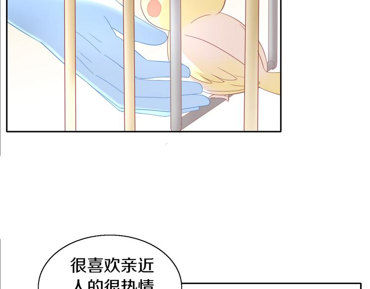 《猫爪之下》漫画最新章节第143话 腮红鹦鹉免费下拉式在线观看章节第【58】张图片