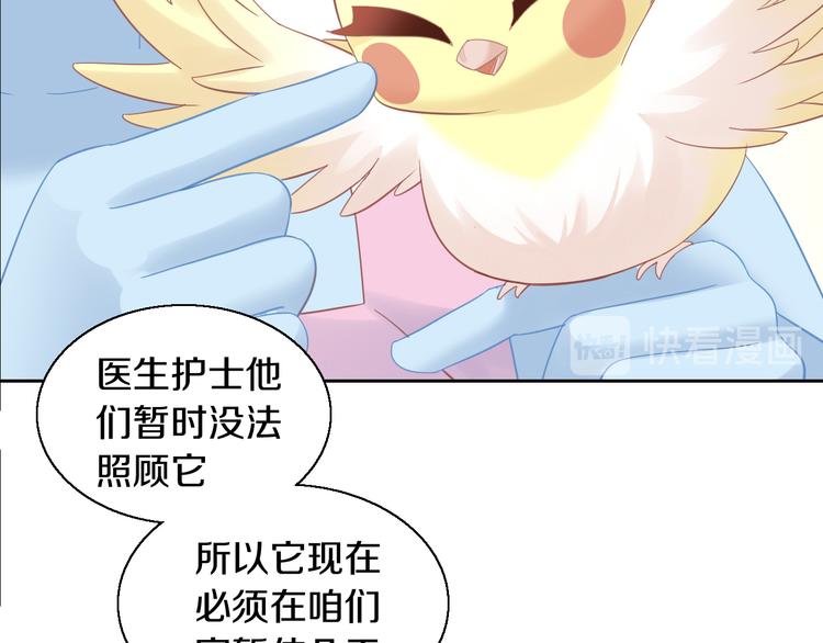 《猫爪之下》漫画最新章节第143话 腮红鹦鹉免费下拉式在线观看章节第【63】张图片