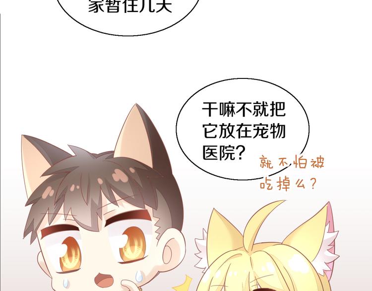 《猫爪之下》漫画最新章节第143话 腮红鹦鹉免费下拉式在线观看章节第【64】张图片