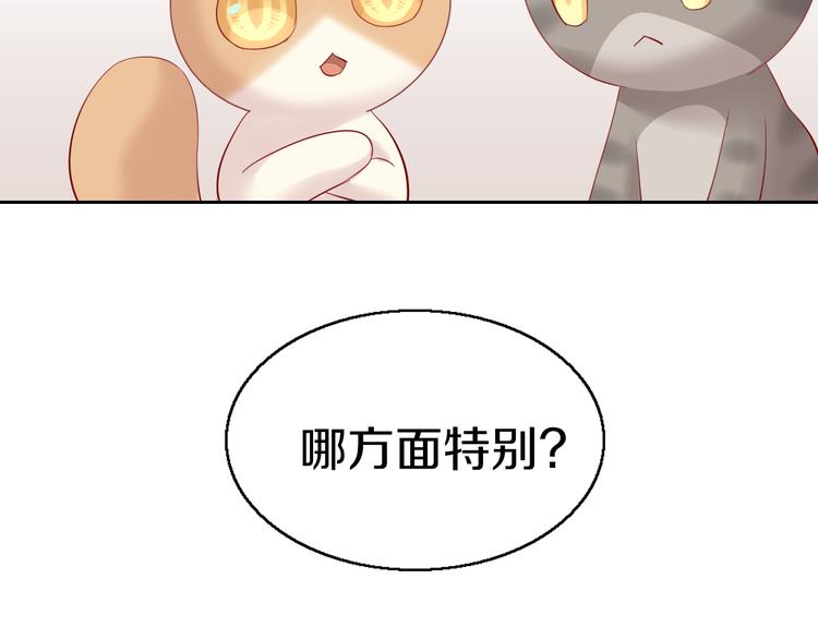 《猫爪之下》漫画最新章节第143话 腮红鹦鹉免费下拉式在线观看章节第【70】张图片