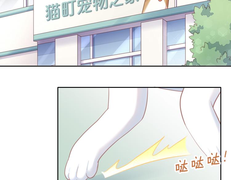 《猫爪之下》漫画最新章节第143话 腮红鹦鹉免费下拉式在线观看章节第【8】张图片