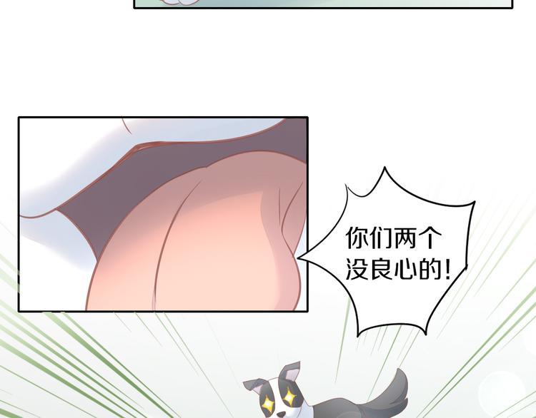 《猫爪之下》漫画最新章节第143话 腮红鹦鹉免费下拉式在线观看章节第【9】张图片