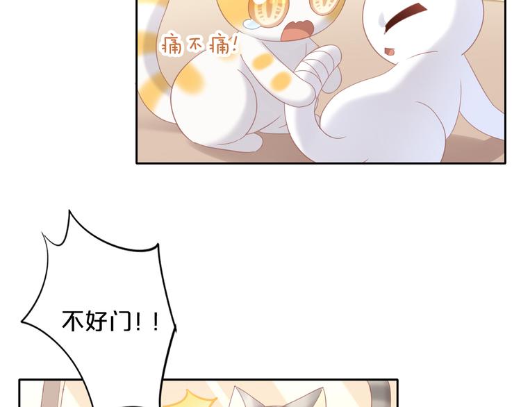 《猫爪之下》漫画最新章节第144话 空陆大战免费下拉式在线观看章节第【31】张图片