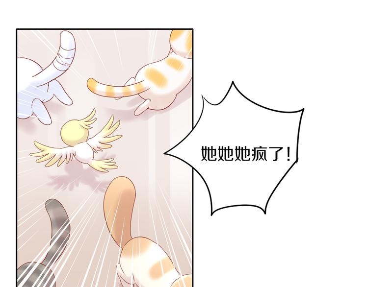 《猫爪之下》漫画最新章节第144话 空陆大战免费下拉式在线观看章节第【40】张图片