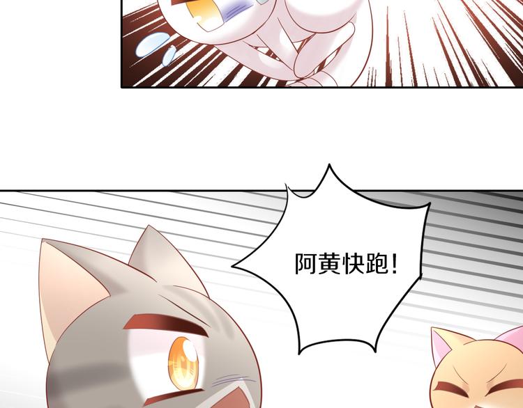 《猫爪之下》漫画最新章节第144话 空陆大战免费下拉式在线观看章节第【43】张图片