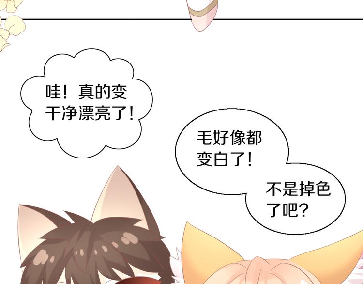 《猫爪之下》漫画最新章节第145话 洗香香免费下拉式在线观看章节第【71】张图片