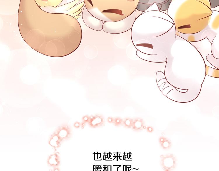 《猫爪之下》漫画最新章节第145话 洗香香免费下拉式在线观看章节第【91】张图片