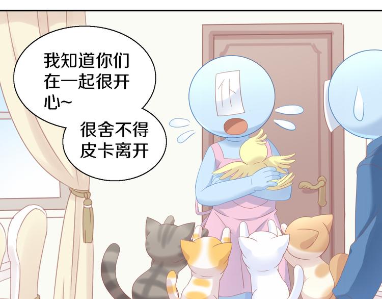 《猫爪之下》漫画最新章节第147话 走花路吧！皮卡！免费下拉式在线观看章节第【51】张图片