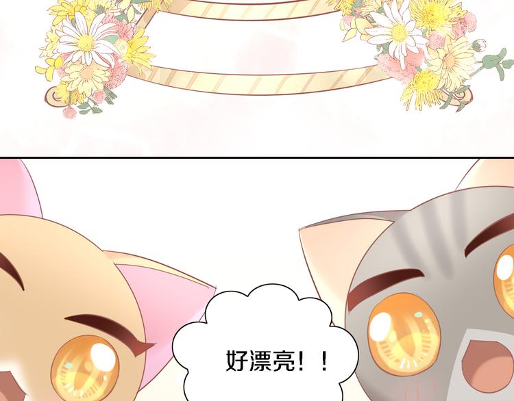 《猫爪之下》漫画最新章节第147话 走花路吧！皮卡！免费下拉式在线观看章节第【65】张图片