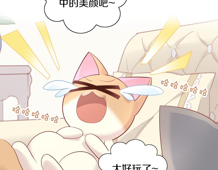 《猫爪之下》漫画最新章节第148话 美颜吧！阿仆！免费下拉式在线观看章节第【49】张图片