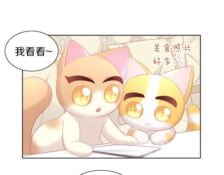 《猫爪之下》漫画最新章节第148话 美颜吧！阿仆！免费下拉式在线观看章节第【53】张图片