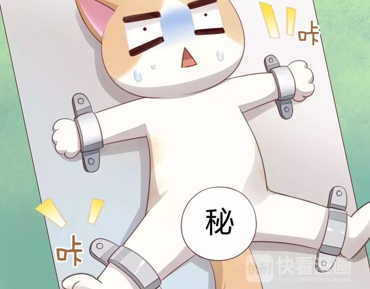 《猫爪之下》漫画最新章节第16话  陷入恋情免费下拉式在线观看章节第【75】张图片