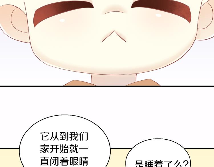 《猫爪之下》漫画最新章节第151话 闭与睁免费下拉式在线观看章节第【15】张图片