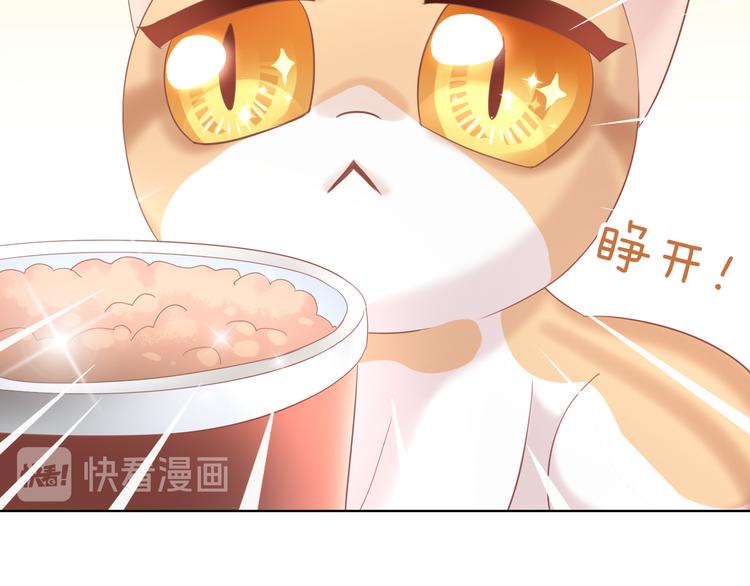 《猫爪之下》漫画最新章节第151话 闭与睁免费下拉式在线观看章节第【29】张图片