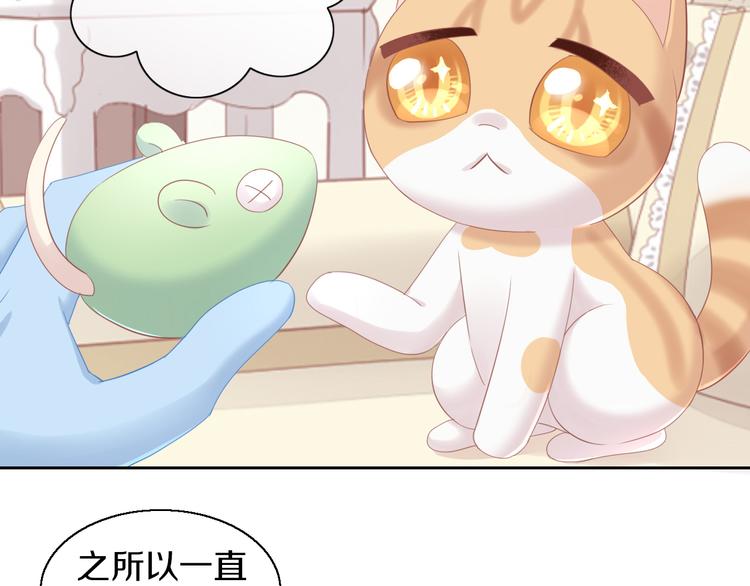 《猫爪之下》漫画最新章节第151话 闭与睁免费下拉式在线观看章节第【35】张图片