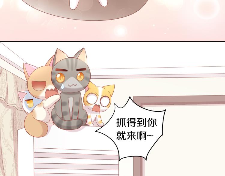 《猫爪之下》漫画最新章节第154话 夏日大作战免费下拉式在线观看章节第【47】张图片