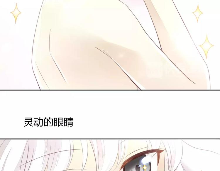 《猫爪之下》漫画最新章节第17话  失恋来得太快免费下拉式在线观看章节第【62】张图片