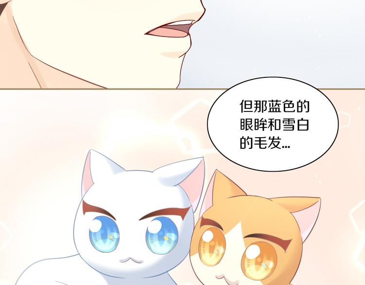 《猫爪之下》漫画最新章节第161话 梦魇之茶（七）免费下拉式在线观看章节第【72】张图片