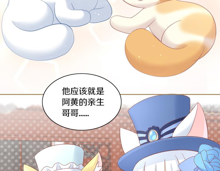 《猫爪之下》漫画最新章节第161话 梦魇之茶（七）免费下拉式在线观看章节第【73】张图片