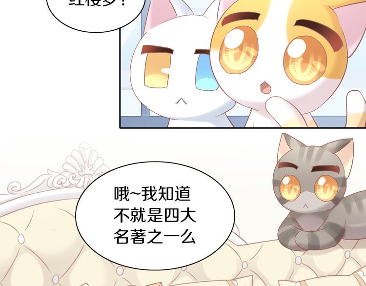 《猫爪之下》漫画最新章节第164话 红楼味道免费下拉式在线观看章节第【12】张图片