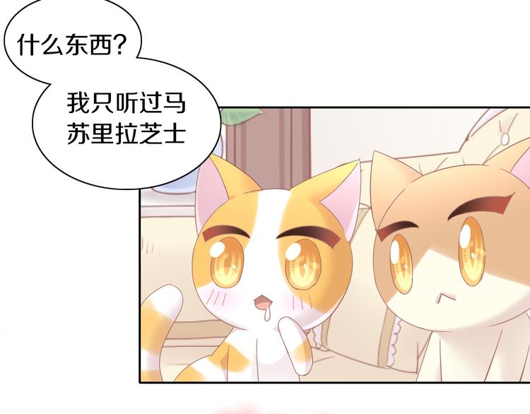 《猫爪之下》漫画最新章节第165话 吉他的夏天免费下拉式在线观看章节第【18】张图片