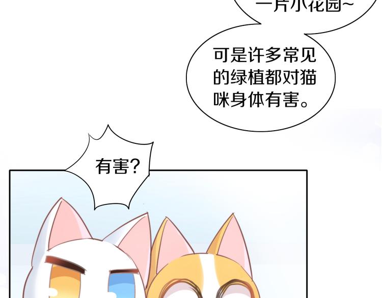 《猫爪之下》漫画最新章节第166话 猫咪花园免费下拉式在线观看章节第【11】张图片