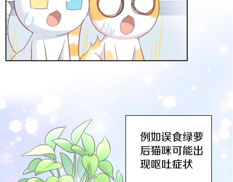 《猫爪之下》漫画最新章节第166话 猫咪花园免费下拉式在线观看章节第【12】张图片