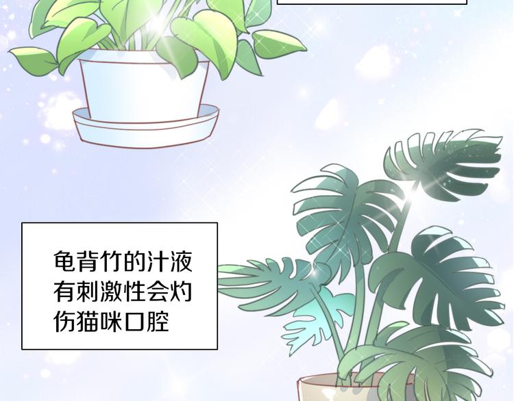 《猫爪之下》漫画最新章节第166话 猫咪花园免费下拉式在线观看章节第【13】张图片