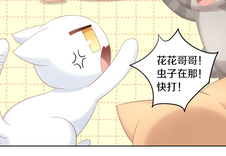 《猫爪之下》漫画最新章节第166话 猫咪花园免费下拉式在线观看章节第【38】张图片