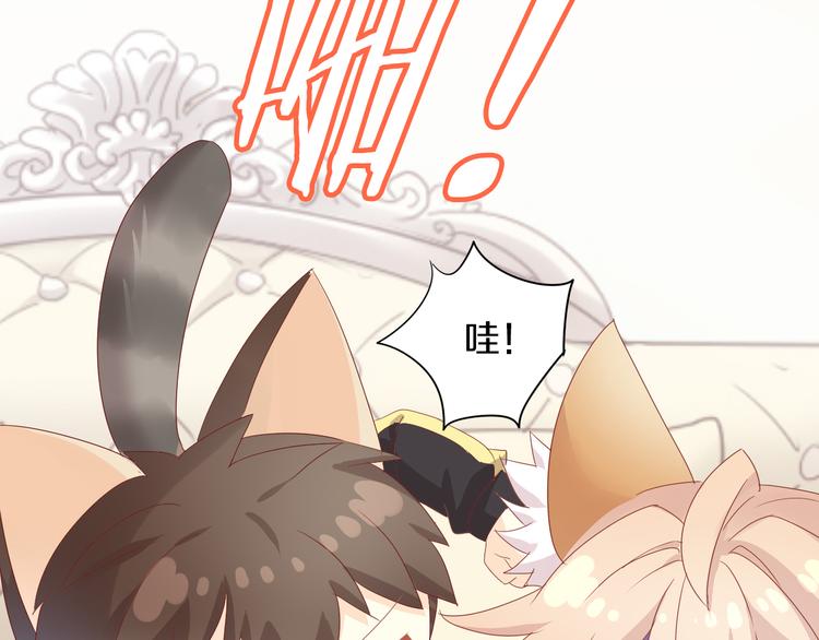 《猫爪之下》漫画最新章节第166话 猫咪花园免费下拉式在线观看章节第【41】张图片