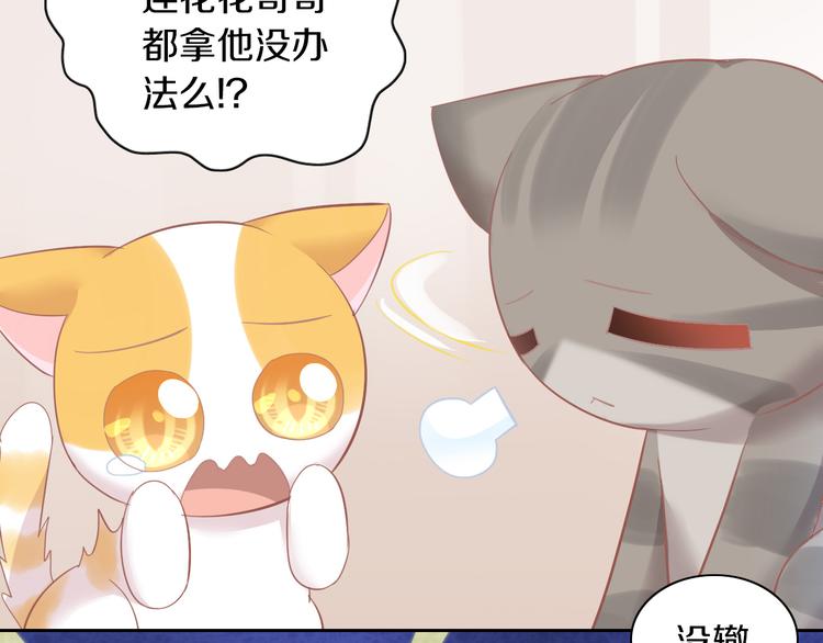 《猫爪之下》漫画最新章节第166话 猫咪花园免费下拉式在线观看章节第【46】张图片