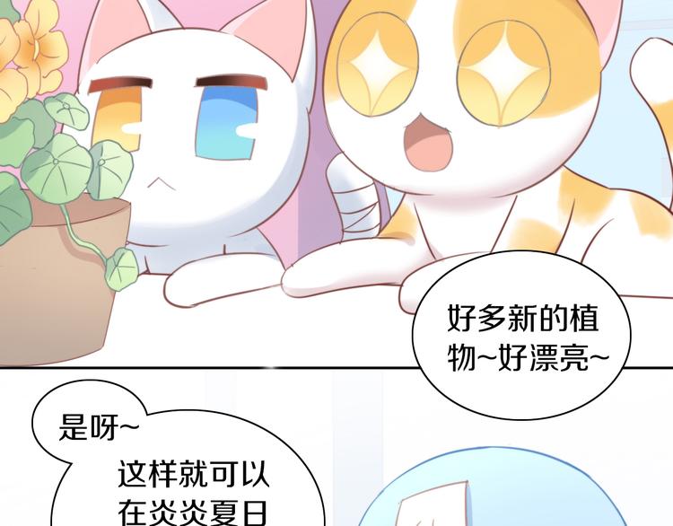 《猫爪之下》漫画最新章节第166话 猫咪花园免费下拉式在线观看章节第【9】张图片