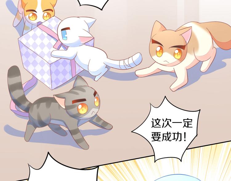 《猫爪之下》漫画最新章节第166话 猫咪花园免费下拉式在线观看章节第【93】张图片