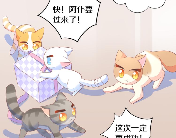 《猫爪之下》漫画最新章节第167话 疯狂的蛋糕免费下拉式在线观看章节第【40】张图片