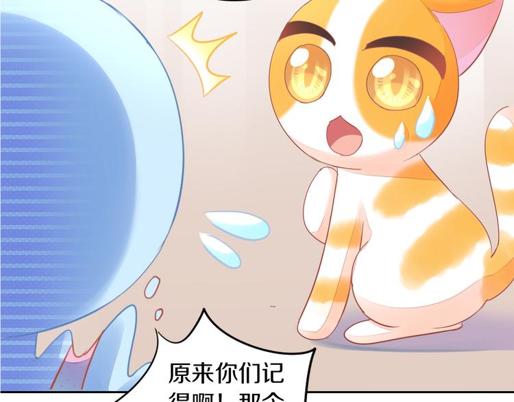 《猫爪之下》漫画最新章节第167话 疯狂的蛋糕免费下拉式在线观看章节第【48】张图片