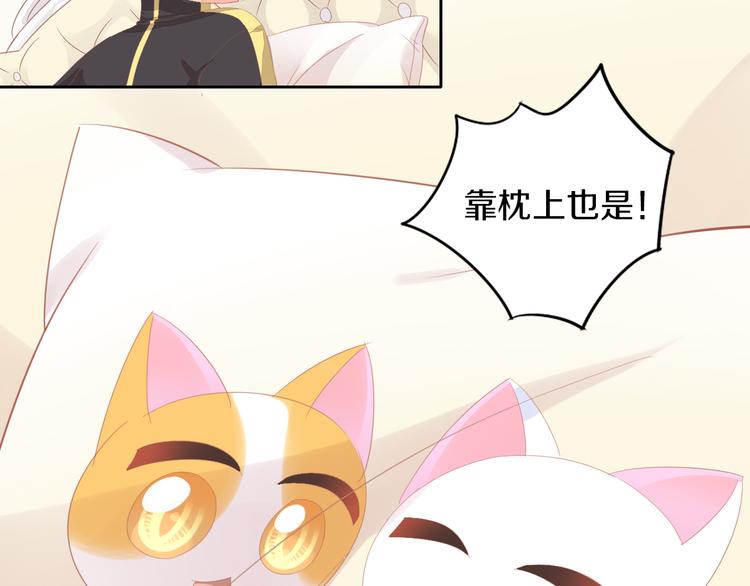 《猫爪之下》漫画最新章节第168话 定制周边风波免费下拉式在线观看章节第【37】张图片