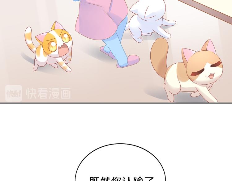 《猫爪之下》漫画最新章节第169话 躲猫猫免费下拉式在线观看章节第【71】张图片