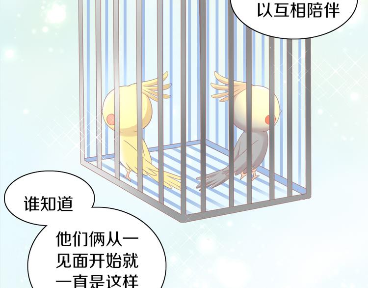 《猫爪之下》漫画最新章节第170话 皮卡和小智免费下拉式在线观看章节第【21】张图片