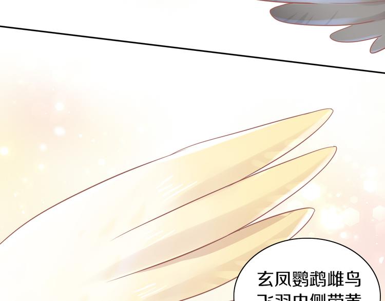 《猫爪之下》漫画最新章节第170话 皮卡和小智免费下拉式在线观看章节第【33】张图片