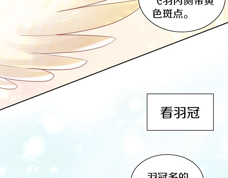 《猫爪之下》漫画最新章节第170话 皮卡和小智免费下拉式在线观看章节第【34】张图片