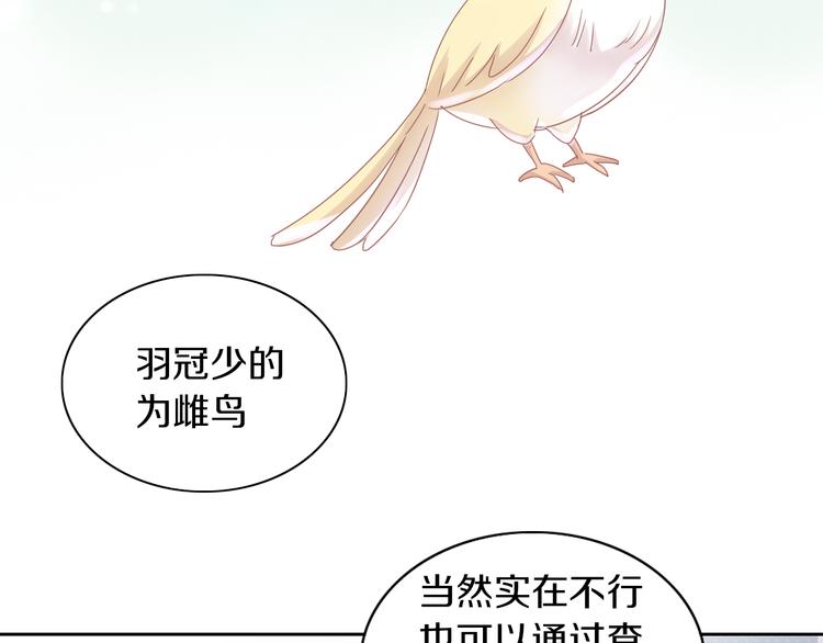 《猫爪之下》漫画最新章节第170话 皮卡和小智免费下拉式在线观看章节第【36】张图片