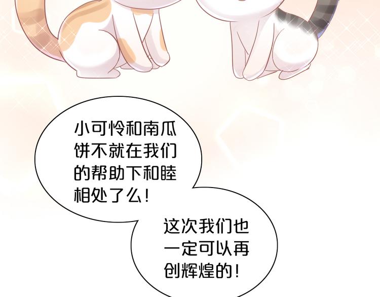 《猫爪之下》漫画最新章节第170话 皮卡和小智免费下拉式在线观看章节第【65】张图片