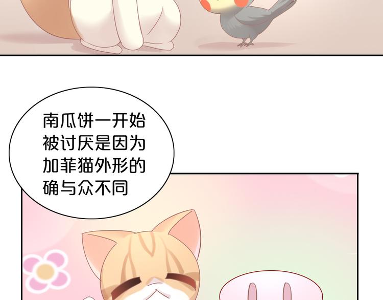 《猫爪之下》漫画最新章节第170话 皮卡和小智免费下拉式在线观看章节第【77】张图片