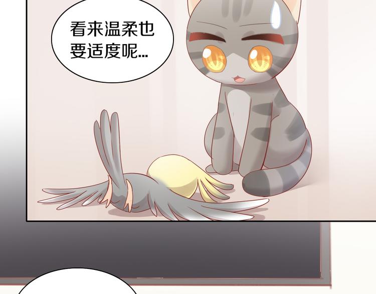 《猫爪之下》漫画最新章节第171话 气质大改造免费下拉式在线观看章节第【48】张图片