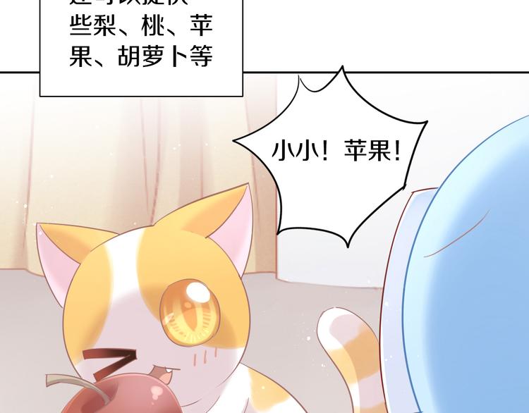 《猫爪之下》漫画最新章节第172话  喜欢的味道免费下拉式在线观看章节第【36】张图片