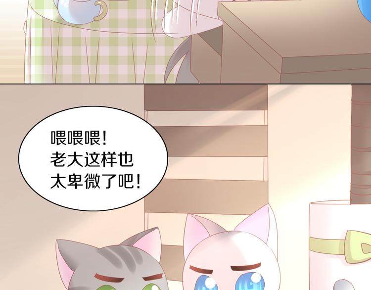 《猫爪之下》漫画最新章节第173话 全员外宿免费下拉式在线观看章节第【44】张图片