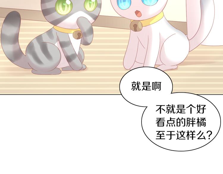 《猫爪之下》漫画最新章节第173话 全员外宿免费下拉式在线观看章节第【45】张图片