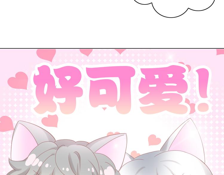 《猫爪之下》漫画最新章节第173话 全员外宿免费下拉式在线观看章节第【49】张图片